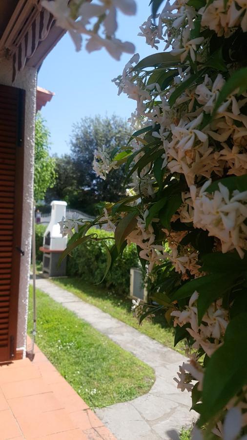 Villetta Cinquale Versilia Eksteriør bilde